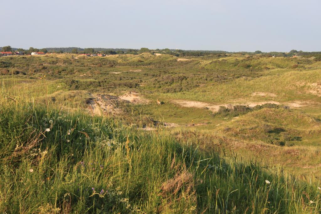 Posthuisje Zandvoort Pokój zdjęcie